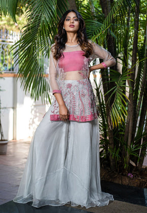 Hazy Dandeelion- Light Grey Embroidered Gharara Set