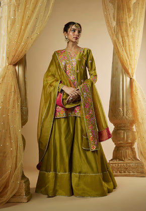 Emona- Olive Green Chanderi Silk Pitta and Applique work sharara Set