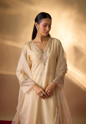 ADIE-Beige Hand woven chanderi silk  suit set with zardozi embroidery
